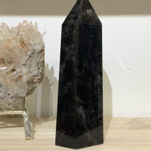 Trụ Thạch Anh Đen – Black Quartz Point (Morion) (TAĐ50) |CADA DECOR