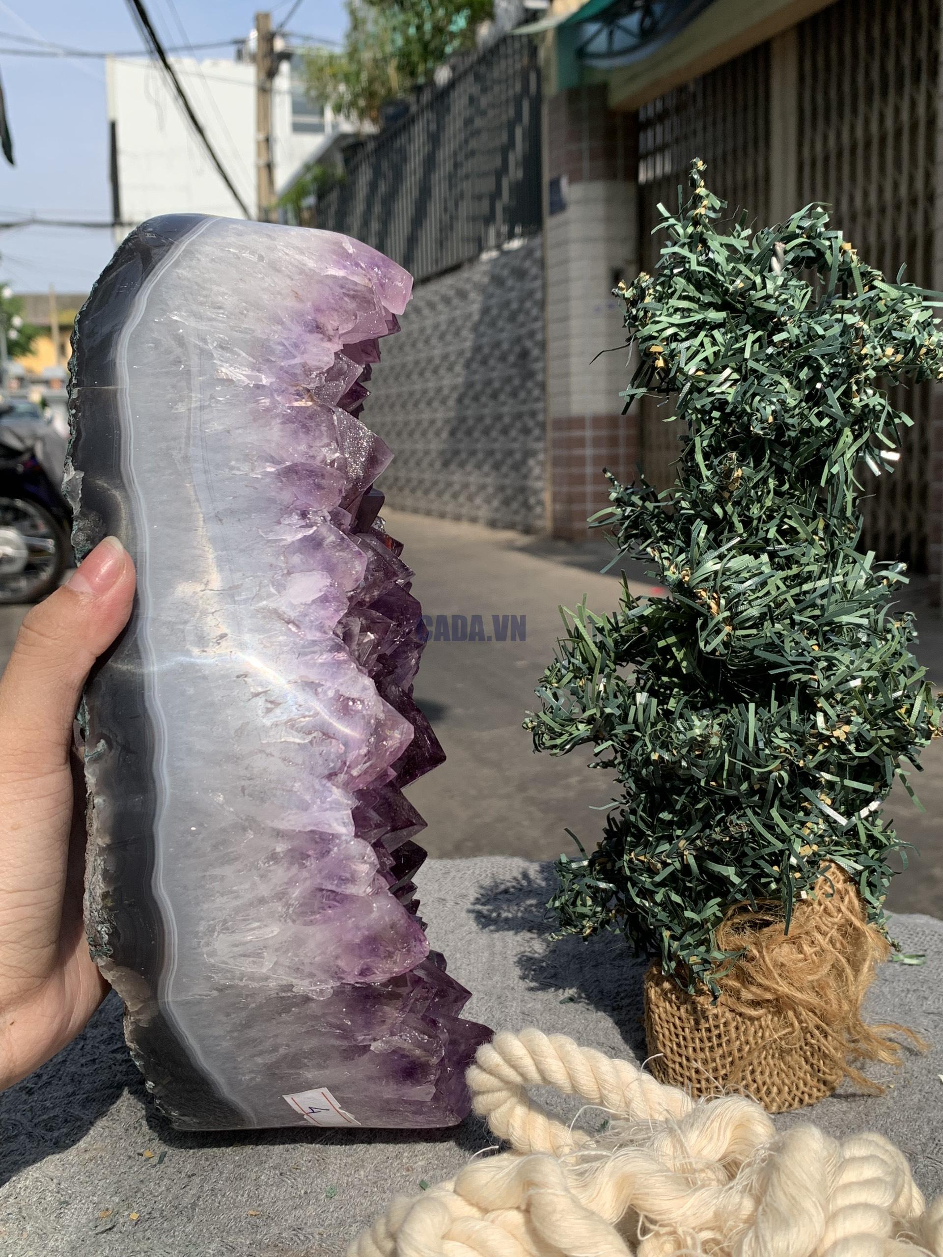 VỈ MẦM THẠCH ANH TÍM (VM14), KT: 24*11CM - KL: 4KG | CADA DECOR