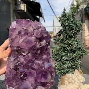 VỈ MẦM THẠCH ANH TÍM (VM30) | CADA DECOR