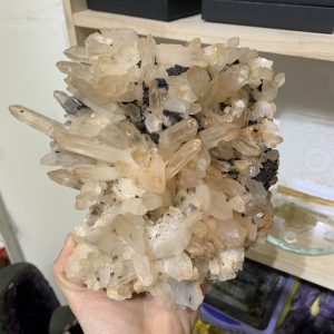 Vỉ mầm tinh thể thạch anh ( 02) | CADA DECOR