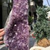 VỈ MẦM THẠCH ANH TÍM (VM10), KT: 17*13CM – KL: 5,5KG | CADA DECOR