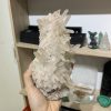 Vỉ mầm tinh thể thạch anh (04) | CADA DECOR