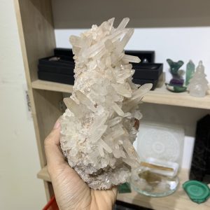 Vỉ mầm tinh thể thạch anh (04) | CADA DECOR