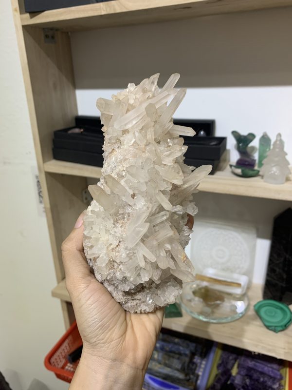 Vỉ mầm tinh thể thạch anh (04) | CADA DECOR