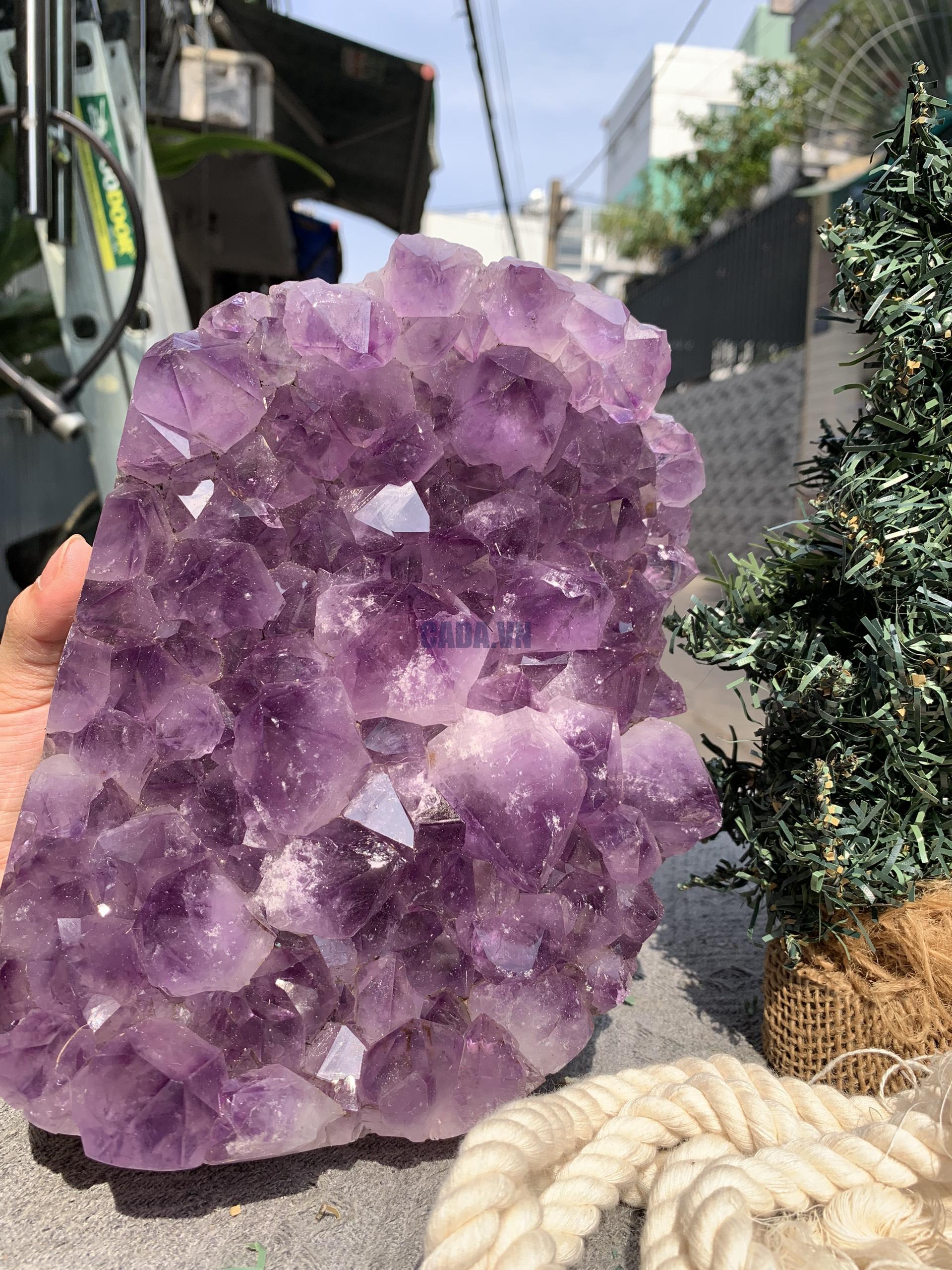 VỈ MẦM THẠCH ANH TÍM (VM07), KT: 20*16,5CM - KL: 4,15KG | CADA DECOR