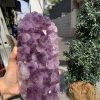 VỈ MẦM THẠCH ANH TÍM (VM06), KT: 12*9,5CM - KL: 2,85KG | CADA DECOR