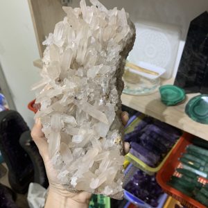 Vỉ mầm tinh thể thạch anh (06) | CADA DECOR