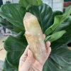 Đá thô thạch anh vàng – Citrine Raw | CADA DECOR