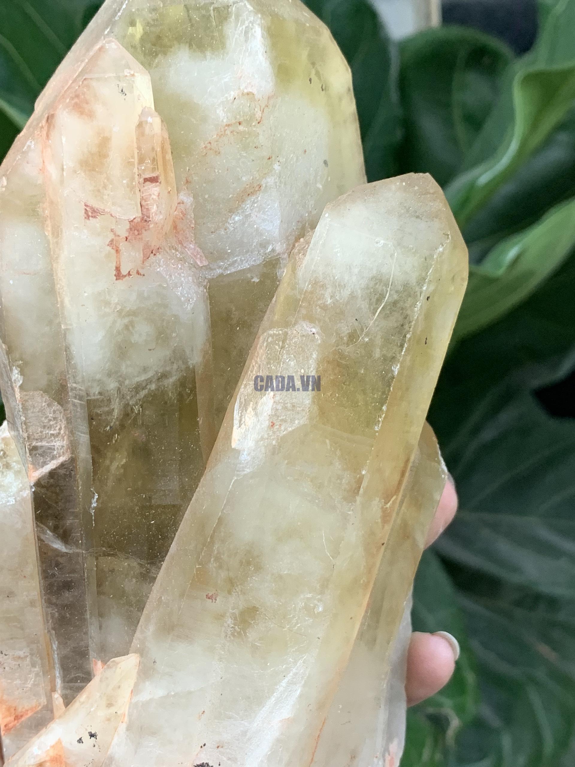 Đá thô thạch anh vàng - Citrine Raw (02) | CADA DECOR