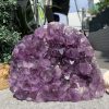 VỈ MẦM THẠCH ANH TÍM (VM04), KT: 19*15CM - KL: 4,4KG | CADA DECOR