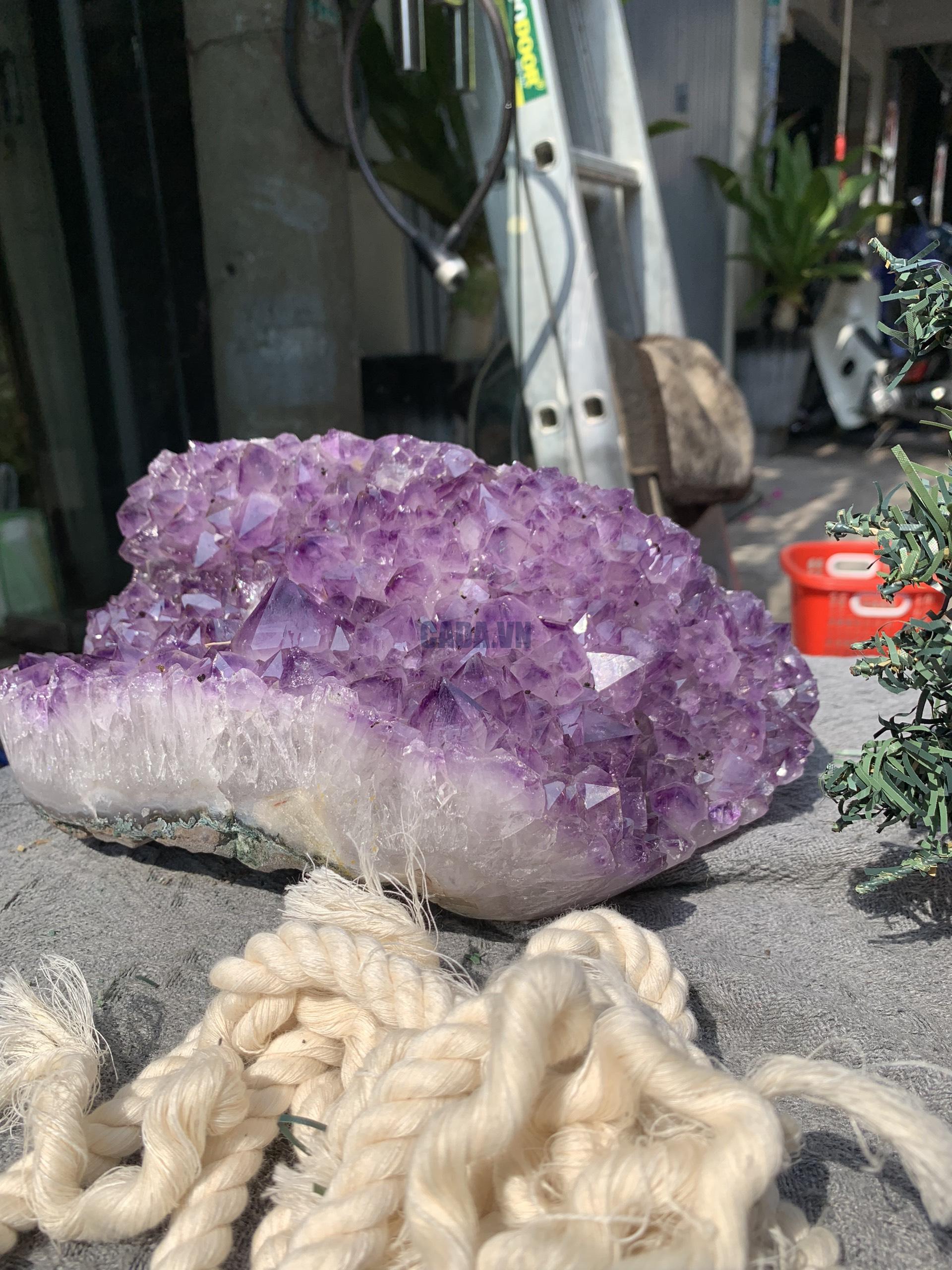 VỈ MẦM THẠCH ANH TÍM (VM09), KT: 24,5*13,5CM - KL: 5,4KG | CADA DECOR