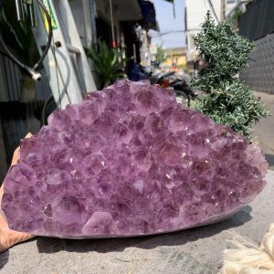 VỈ MẦM THẠCH ANH TÍM (VM08), KT: 25,5*18,5CM - KL: 6KG | CADA DECOR