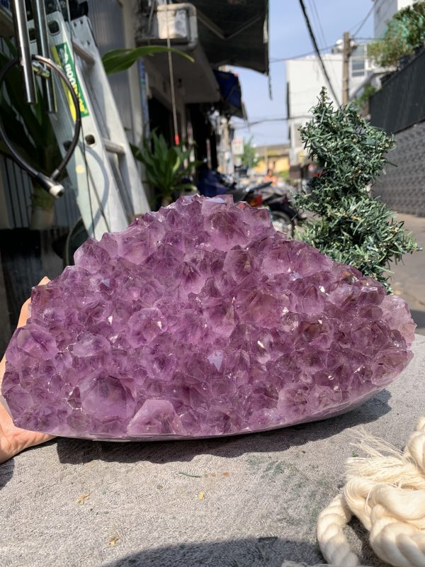 VỈ MẦM THẠCH ANH TÍM (VM08), KT: 25,5*18,5CM - KL: 6KG | CADA DECOR