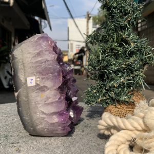 VỈ MẦM THẠCH ANH TÍM (VM31) | CADA DECOR