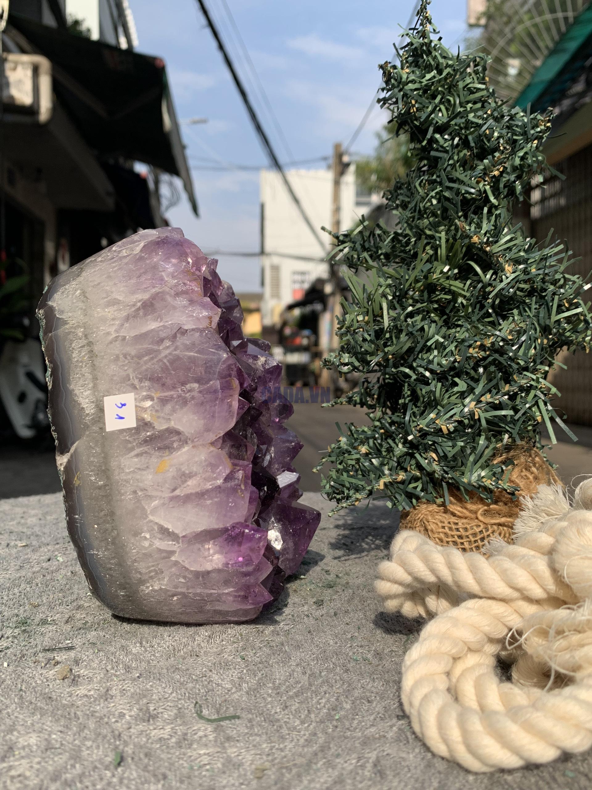 VỈ MẦM THẠCH ANH TÍM (VM31) | CADA DECOR