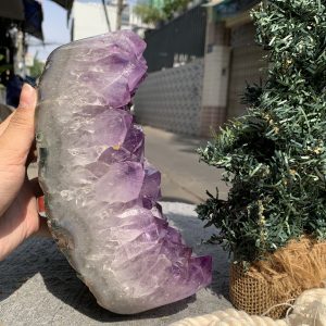VỈ MẦM THẠCH ANH TÍM (VM07), KT: 20*16,5CM - KL: 4,15KG | CADA DECOR