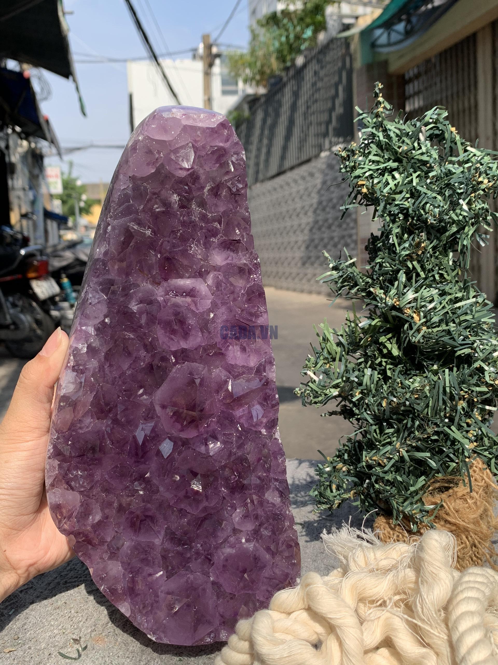 VỈ MẦM THẠCH ANH TÍM (VM14), KT: 24*11CM - KL: 4KG | CADA DECOR