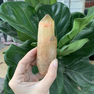 Đá thô thạch anh vàng - Citrine Raw | CADA DECOR