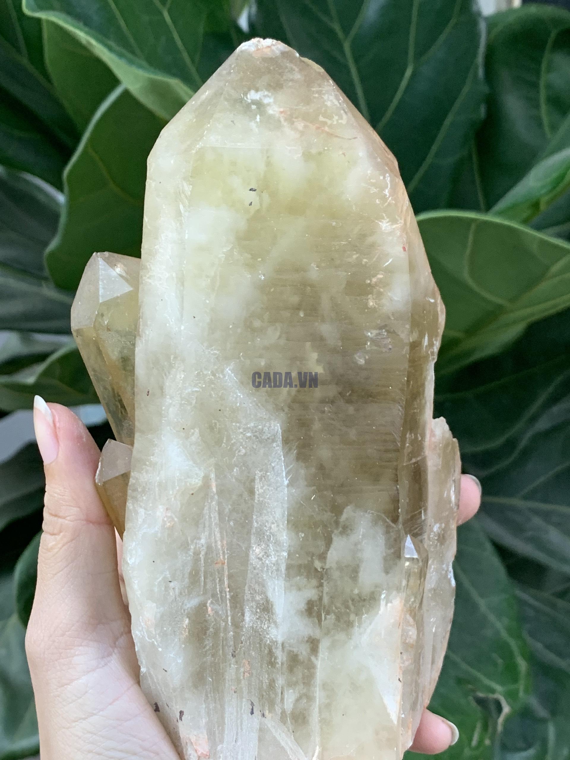 Đá thô thạch anh vàng - Citrine Raw (02) | CADA DECOR