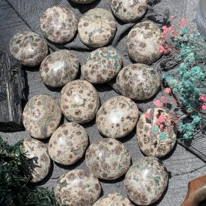 Russian Flower Agate Palm | Đá trang trí, sưu tầm, healing | CADA DECOR