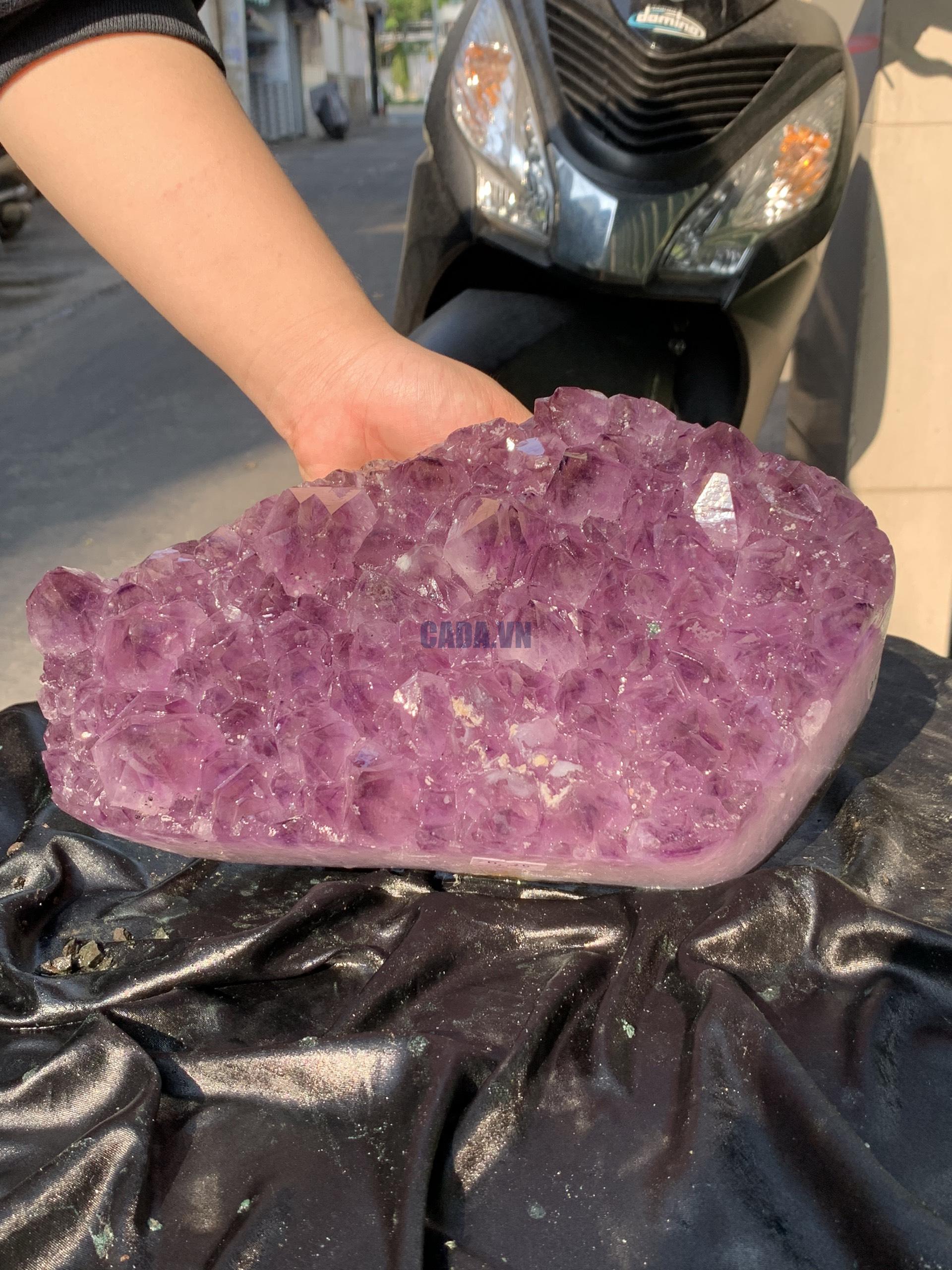 VỈ MẦM THẠCH ANH TÍM (VM21), KT: 26*15CM - KL: 5,25KG | CADA DECOR