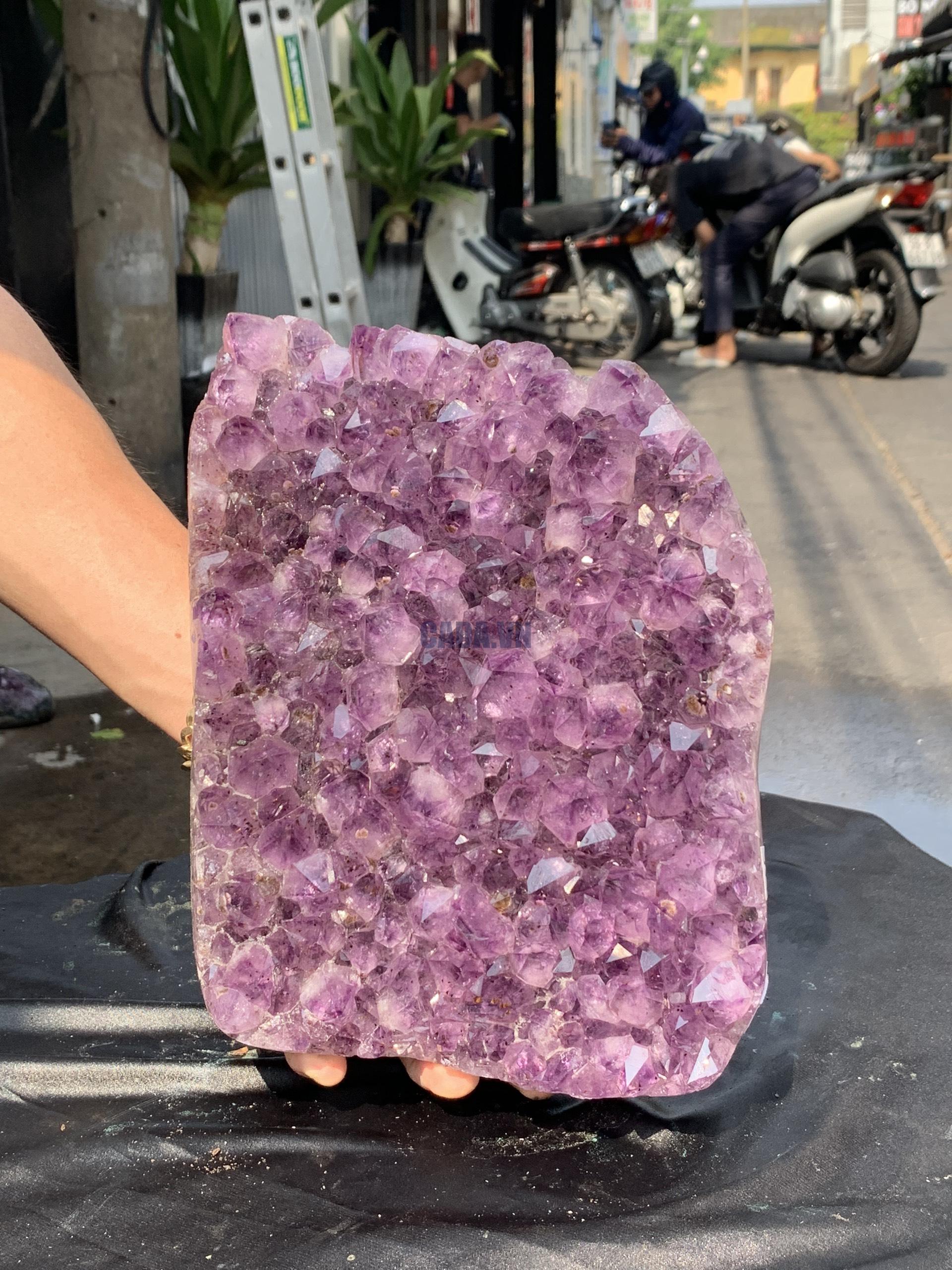 VỈ MẦM THẠCH ANH TÍM (VM22), KT: 25*19CM - KL: 5,45KG | CADA DECOR