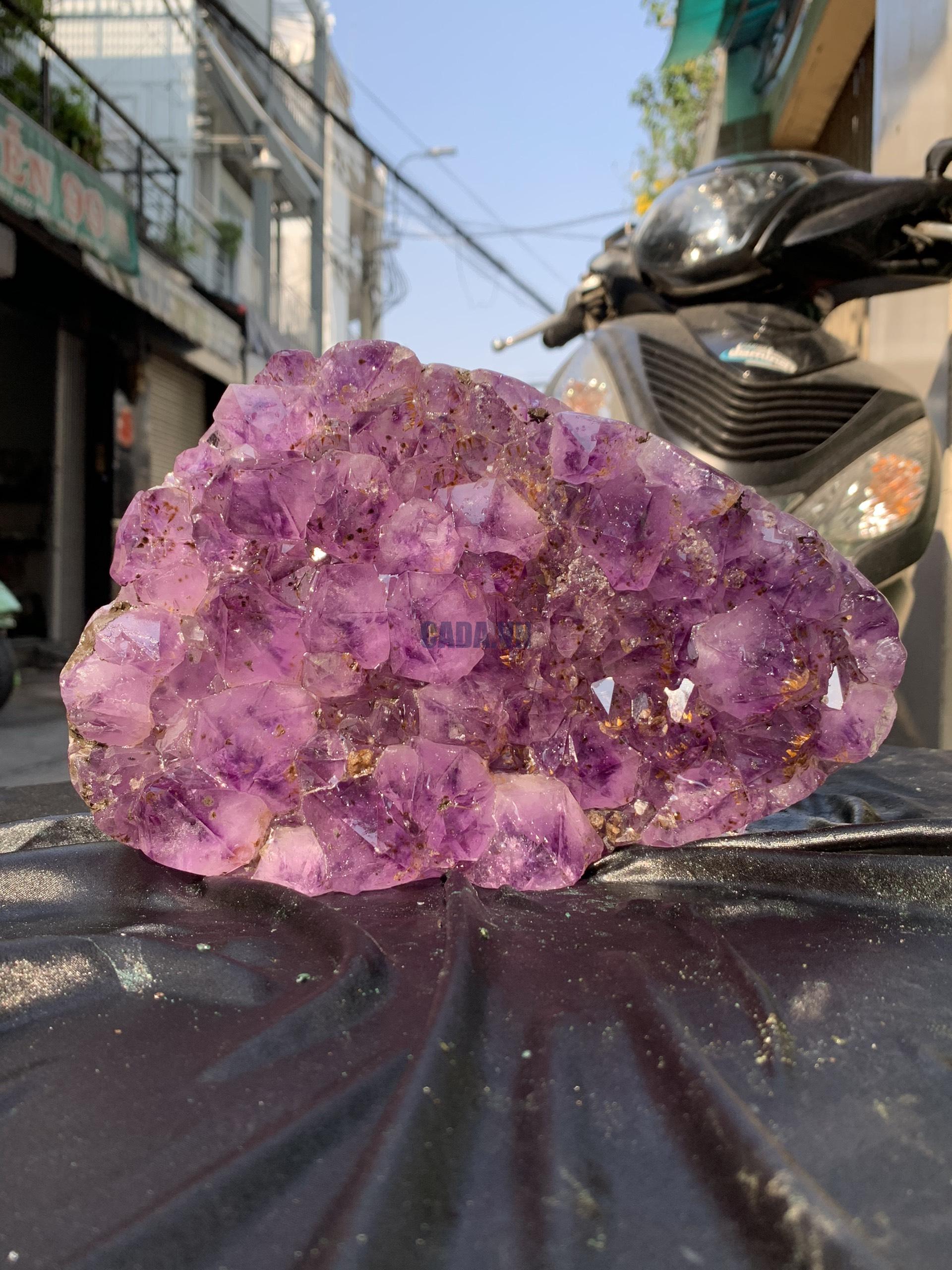 VỈ MẦM THẠCH ANH TÍM (VM26), KT: 23,5*15CM - KL: 4,3KG | CADA DECOR
