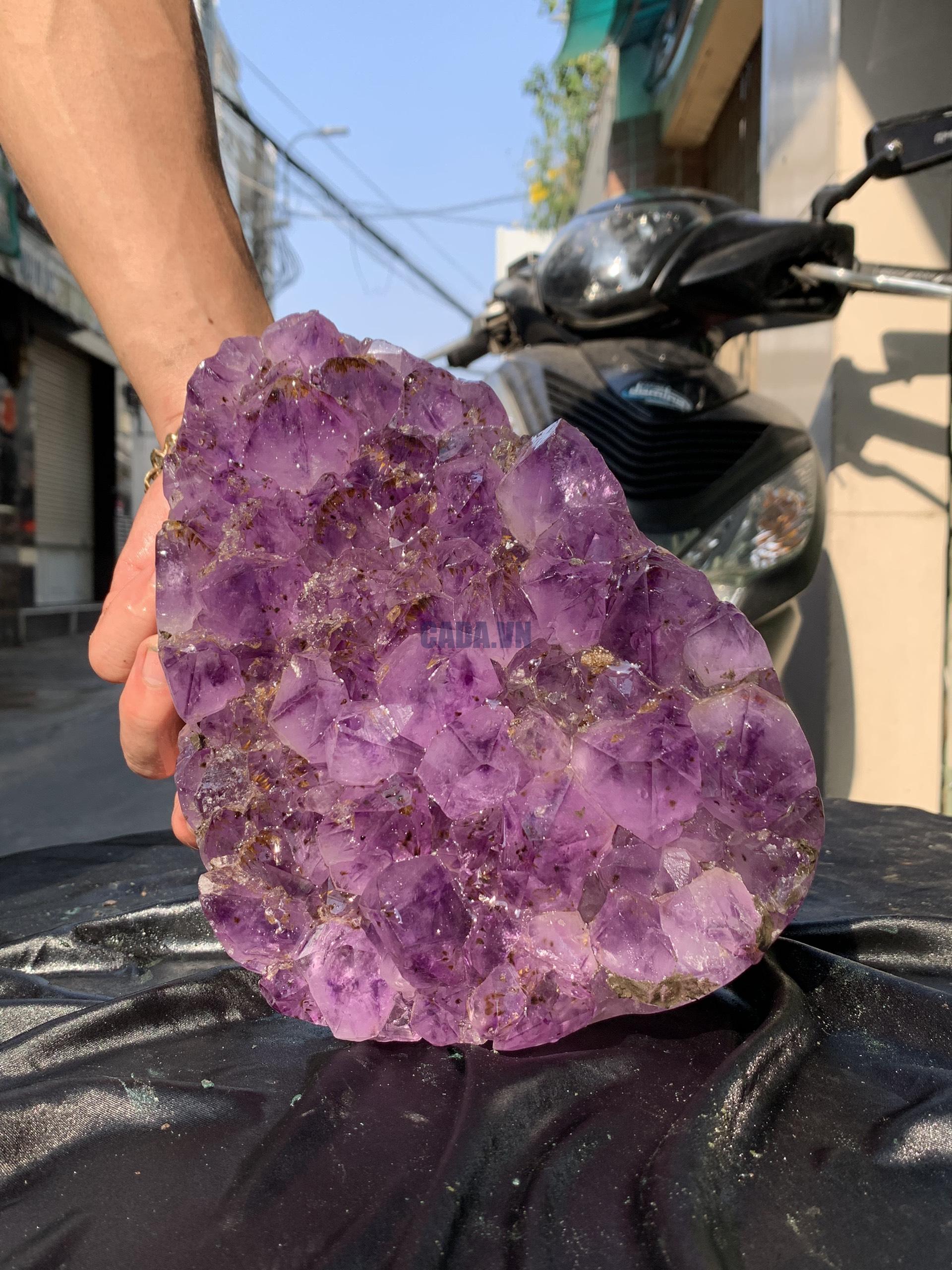 VỈ MẦM THẠCH ANH TÍM (VM26), KT: 23,5*15CM - KL: 4,3KG | CADA DECOR