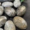 Palm đá vàng găm – Pyrite Palm | Đá trang trí, sưu tầm, healing | CADA DECOR