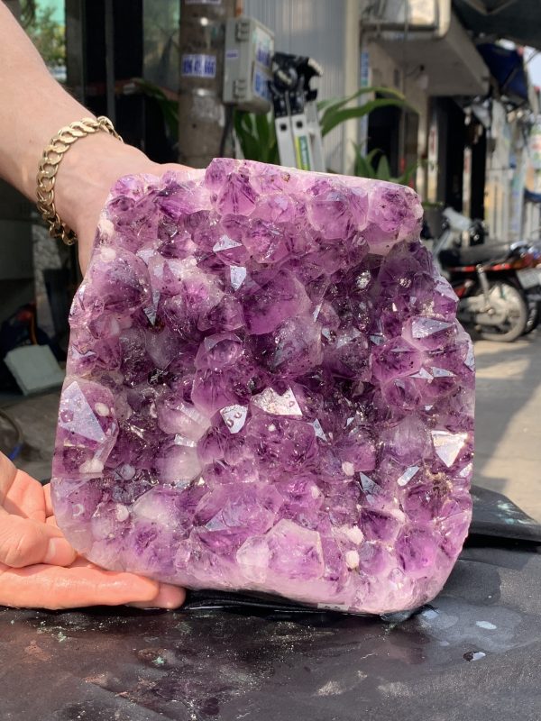 VỈ MẦM THẠCH ANH TÍM (VM33), KT: 20*21CM - KL: 5,6KG | CADA DECOR
