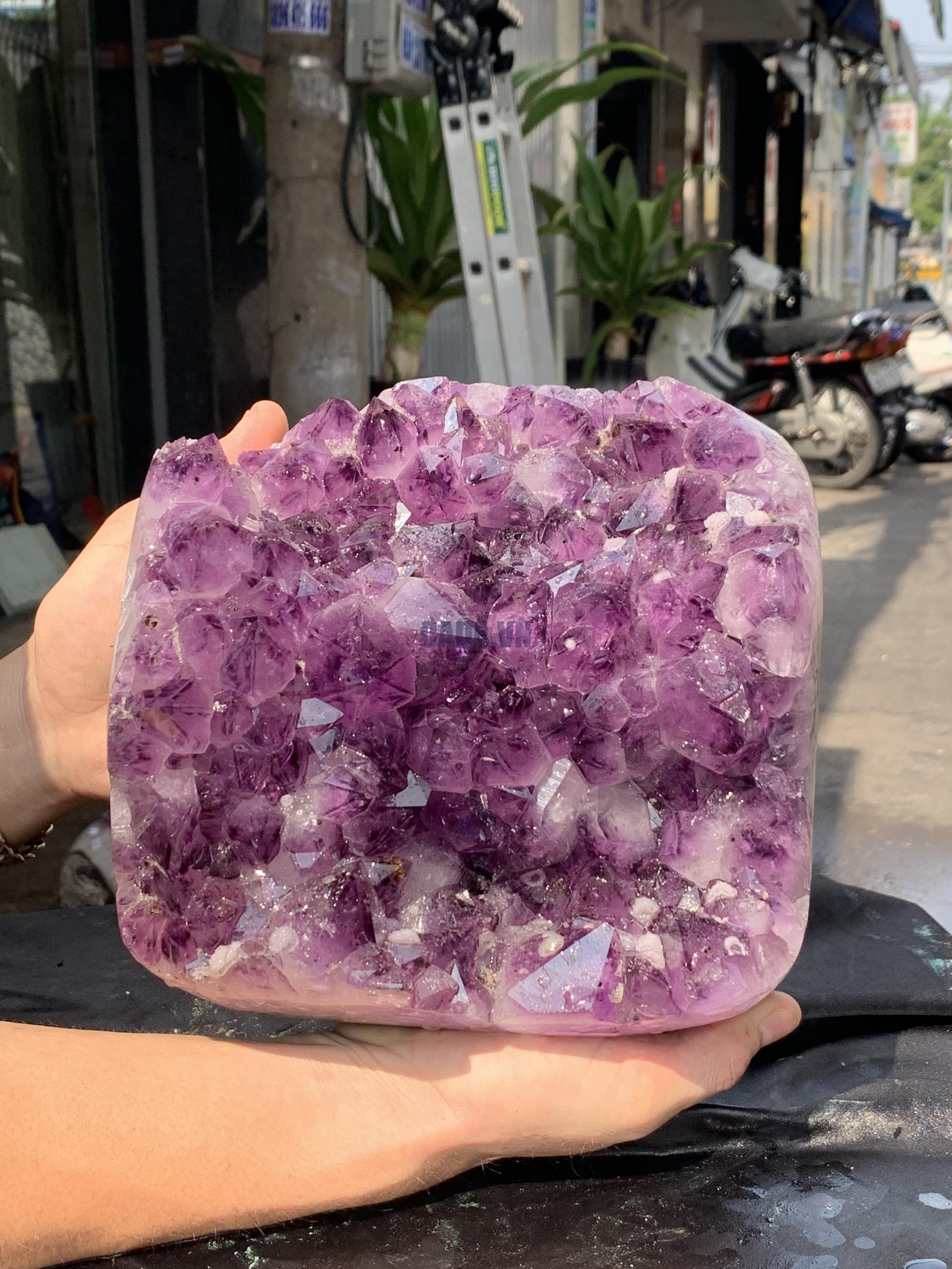 VỈ MẦM THẠCH ANH TÍM (VM33), KT: 20*21CM - KL: 5,6KG | CADA DECOR