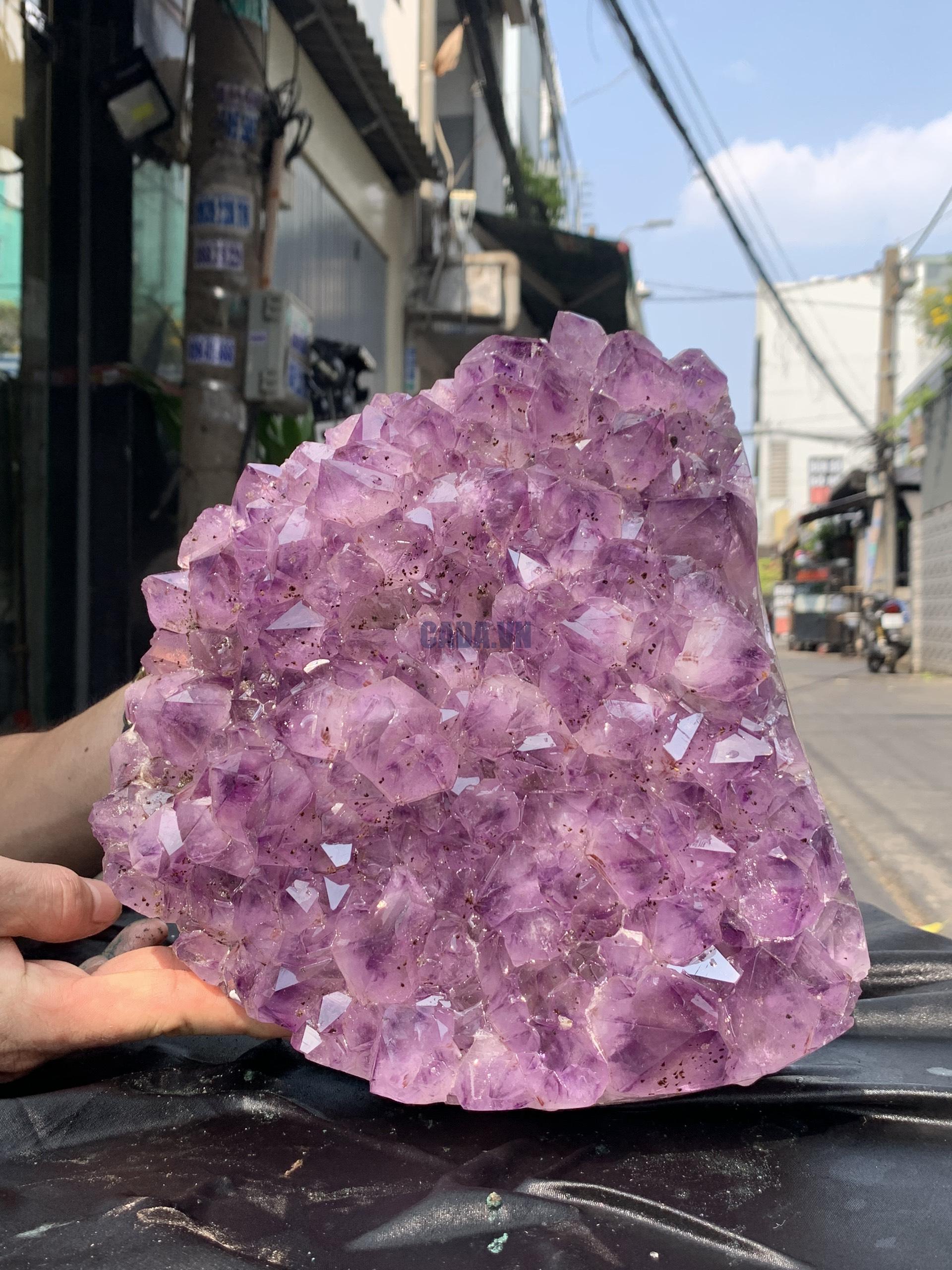 VỈ MẦM THẠCH ANH TÍM (VM36), KT: 25*21CM - KL: 8KG | CADA DECOR