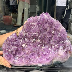 VỈ MẦM THẠCH ANH TÍM (VM41), KT: 29*28CM - KL: 9KG | CADA DECOR