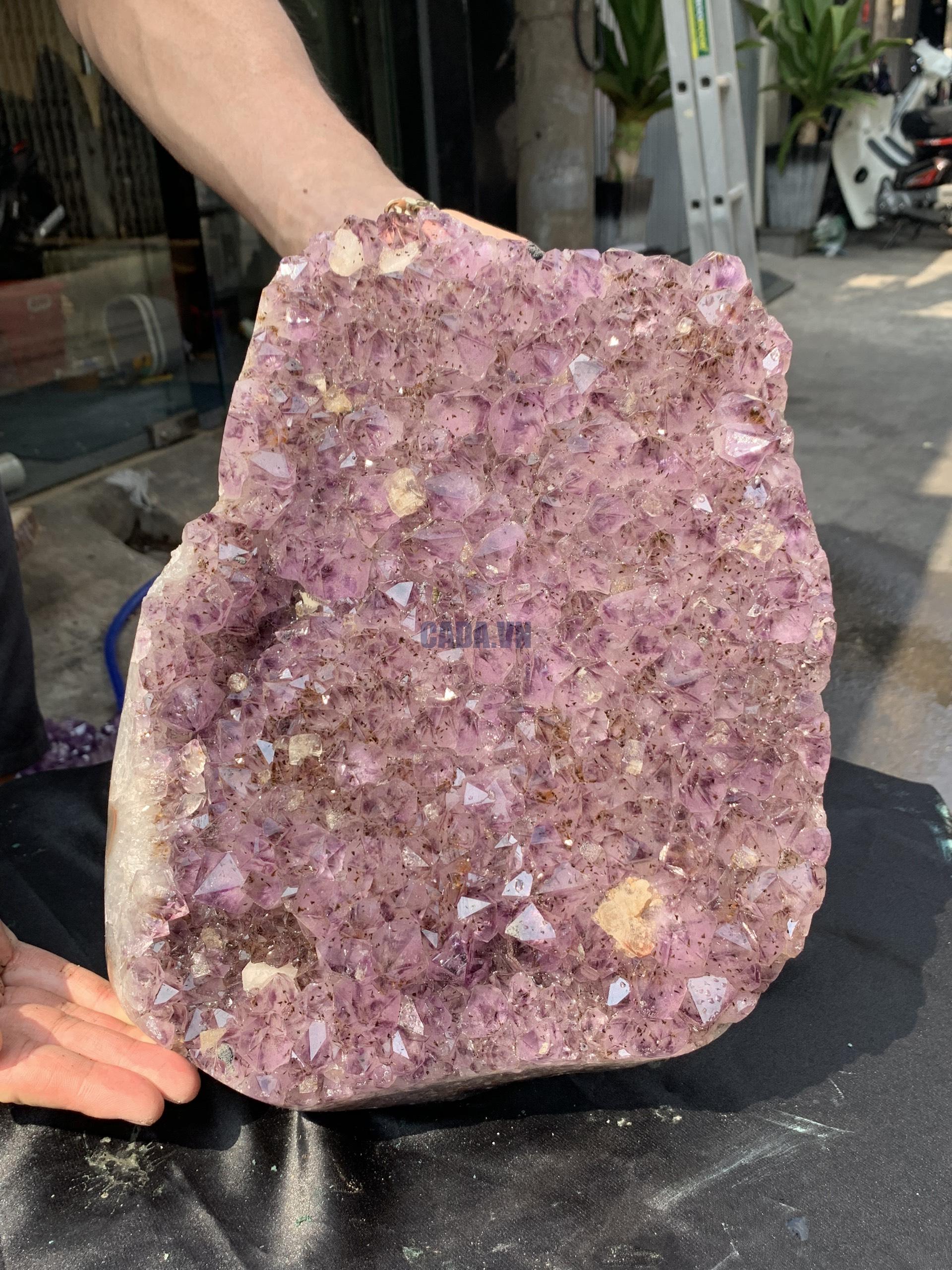VỈ MẦM THẠCH ANH TÍM (VM43), KT: 32*26CM - KL: 12,5KG | CADA DECOR