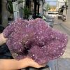 VỈ MẦM THẠCH ANH TÍM (VM58), KT: 30,5*22CM - KL: 9,4KG | CADA DECOR