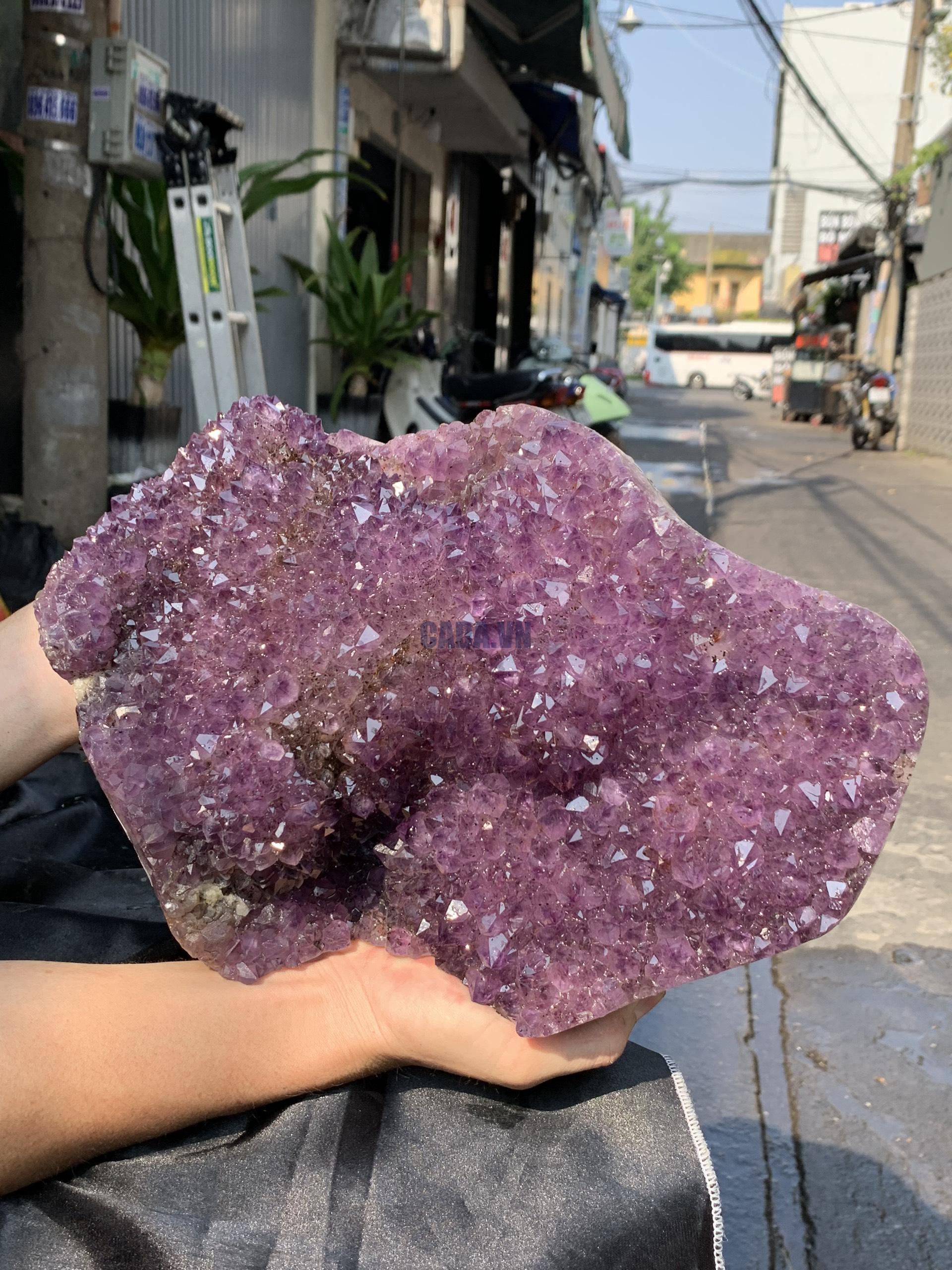 VỈ MẦM THẠCH ANH TÍM (VM58), KT: 30,5*22CM - KL: 9,4KG | CADA DECOR