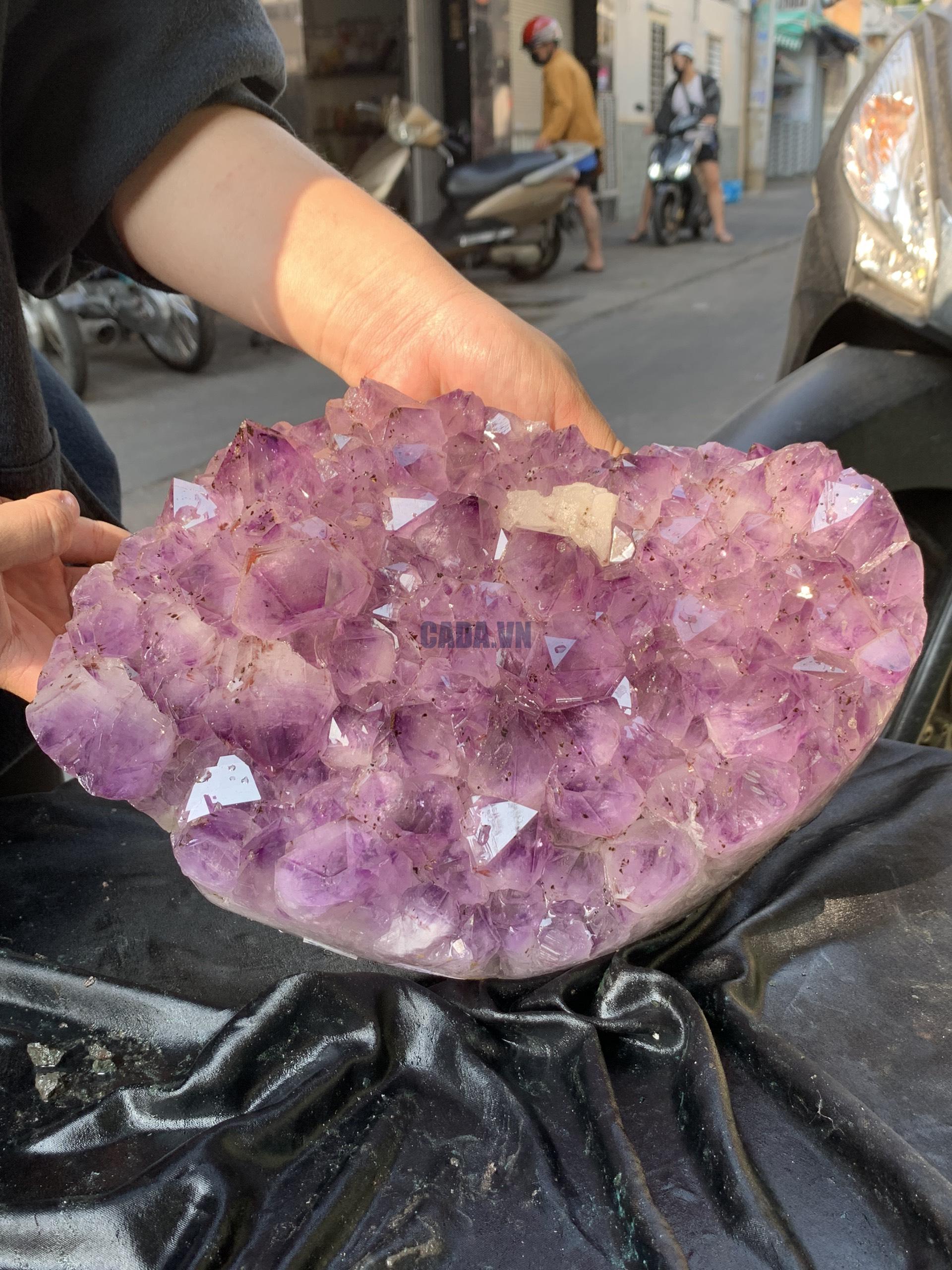 VỈ MẦM THẠCH ANH TÍM (VM66), KT: 27*18CM - KL: 5,4KG | CADA DECOR