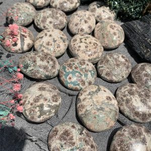 Russian Flower Agate Palm | Đá trang trí, sưu tầm, healing | CADA DECOR