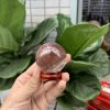 Bi cầu Thạch Anh Trắng trong | Đá trang trí, sưu tầm, healing | CADA DECOR
