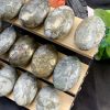 Palm đá vàng găm – Pyrite Palm | Đá trang trí, sưu tầm, healing | CADA DECOR