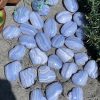 Blue Lace Agate Heart | Đá trang trí, sưu tầm, healing | CADA DECOR