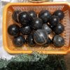 Bi cầu Obsidian | Đá trang trí, sưu tầm, healing | CADA DECOR