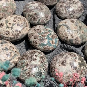 Russian Flower Agate Palm | Đá trang trí, sưu tầm, healing | CADA DECOR