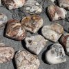 Mexican Agate Heart | CADA DECOR