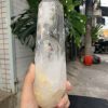 Trụ Thạch Anh Trắng trong – Clear Quartz Point, KL: 860GRAM (TTT234)