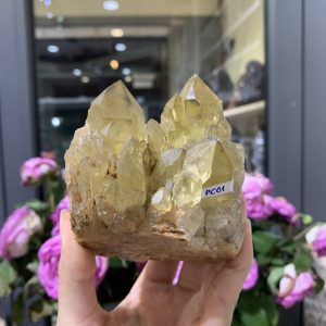 Pineapple Citrine (PC01), KL: 484GRAM - KT: 10*7CM | CADA DECOR