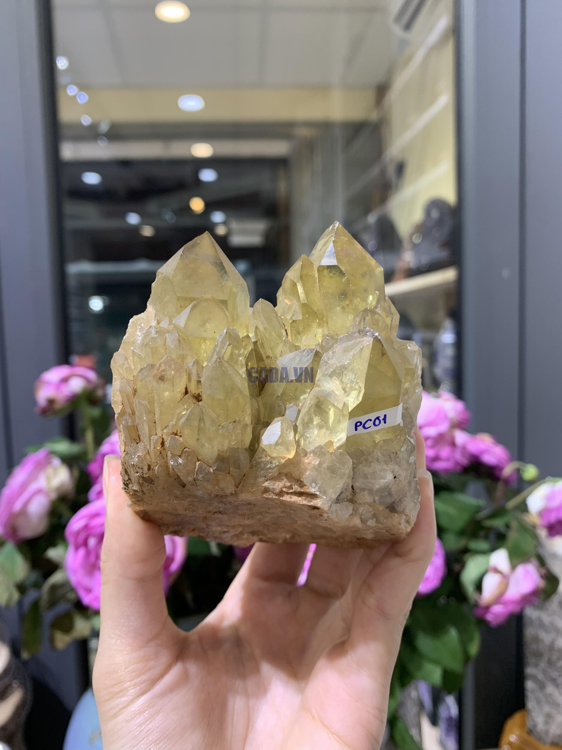 Pineapple Citrine (PC01), KL: 484GRAM - KT: 10*7CM | CADA DECOR