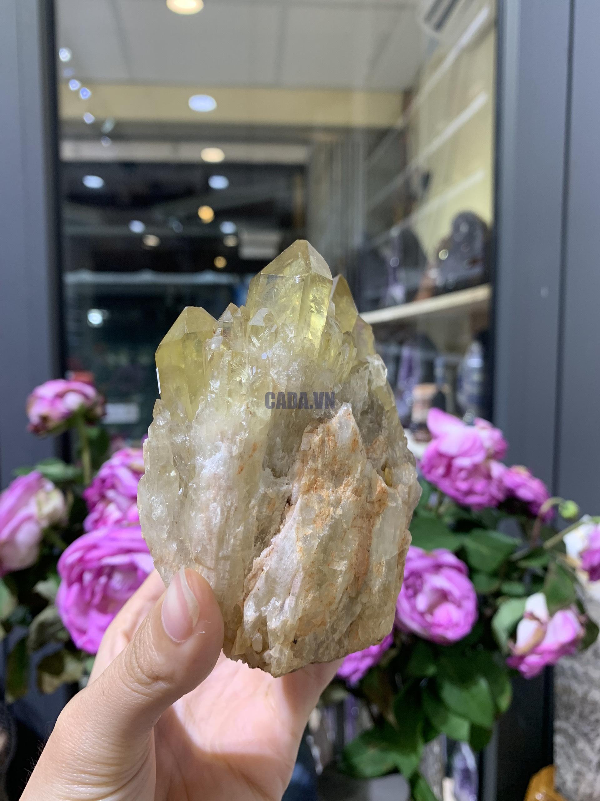 Pineapple Citrine (PC01), KL: 484GRAM - KT: 10*7CM | CADA DECOR