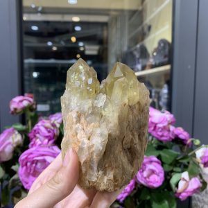 Pineapple Citrine (PC01), KL: 484GRAM - KT: 10*7CM | CADA DECOR
