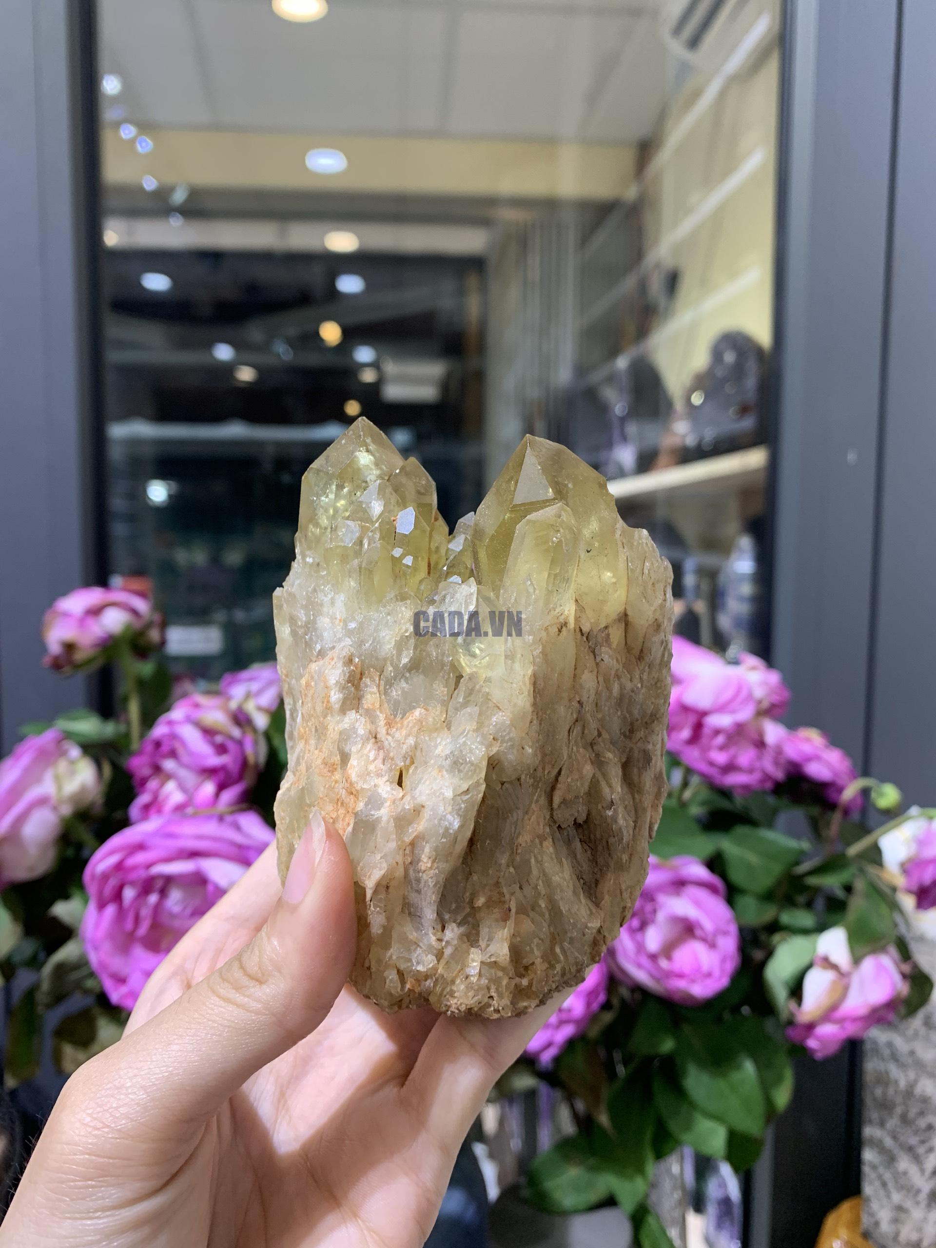 Pineapple Citrine (PC01), KL: 484GRAM - KT: 10*7CM | CADA DECOR